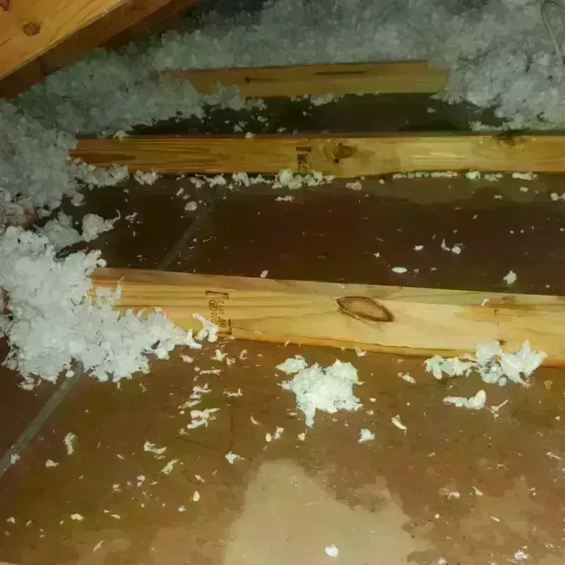 Attic Water Damage in Marion, TX