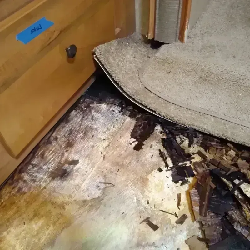 Best Wood Floor Water Damage Service in Marion, TX